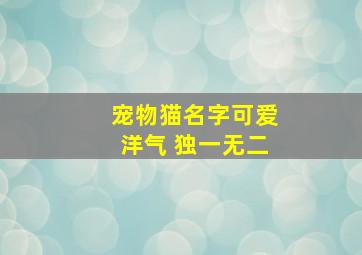 宠物猫名字可爱洋气 独一无二